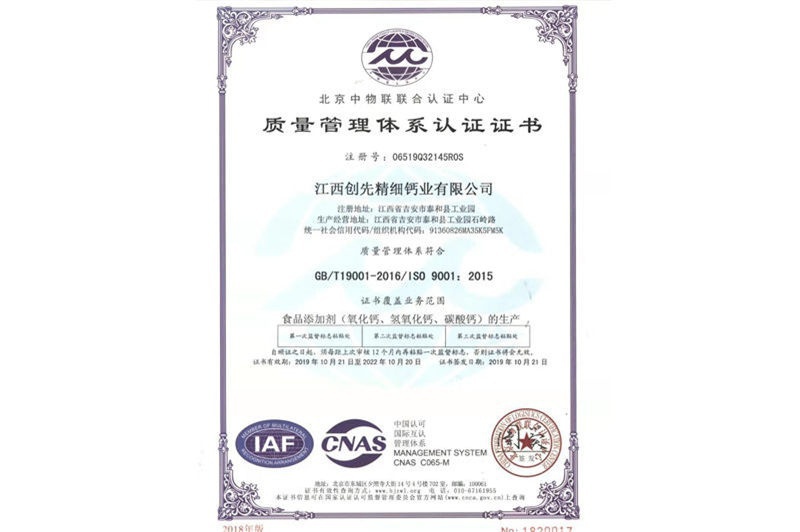 ISO9001中文版